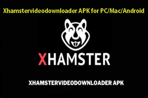 download xmaster|Free XHamster Downloader (free) download Windows version